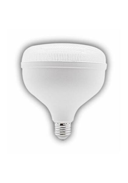 Cata CT-4135 Kristal Torch 35W LED Ampul